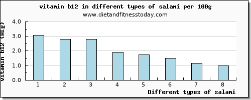 salami vitamin b12 per 100g